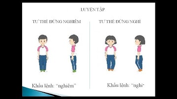 GDTC 1 -Tuần 3-Tư thế đứng nghiêm, đứng nghỉ, tập hợp hàng dọc, dóng hàng dọc, điểm số (t5)