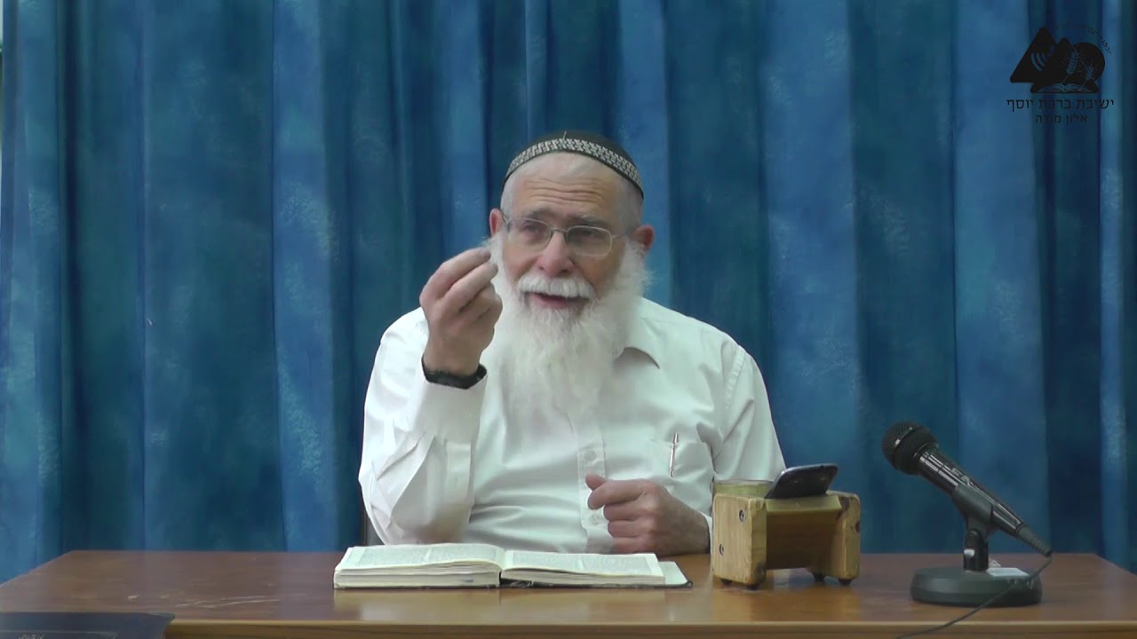 גדר תערובת ששייך בה דין בורר | הרב אליקים לבנון | הלכות בורר בשבת | 4