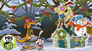 Nature Cat | 🎄⛄Christmas Decorations! | PBS KIDS