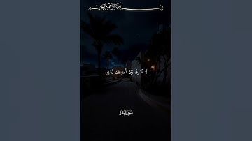 سورة البقرة |ياسر الدوسري#ياسر_الدوسري #قرآن #قران_كريم #quran