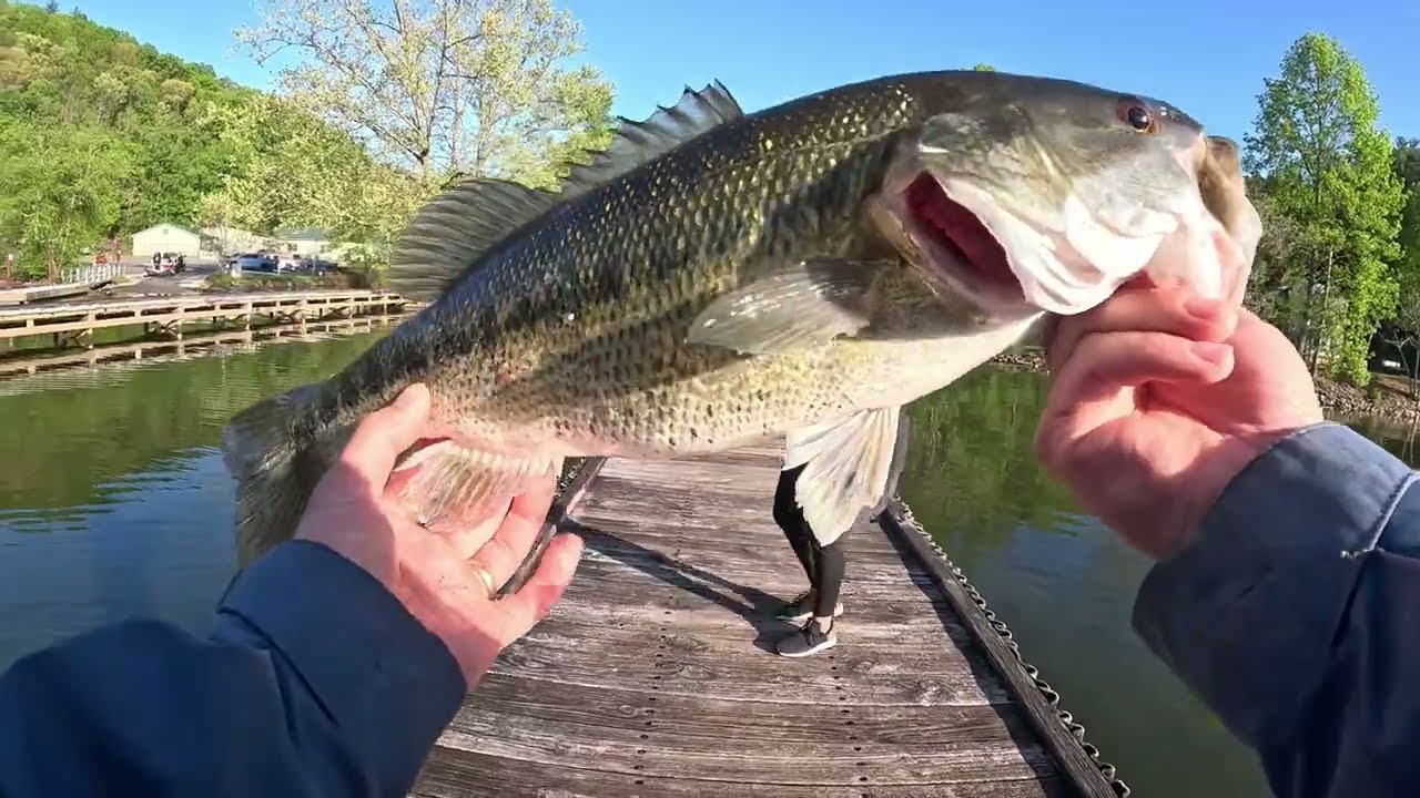 Sneaking off to catch BIG PRESPAWN bass Lake Burton GA
