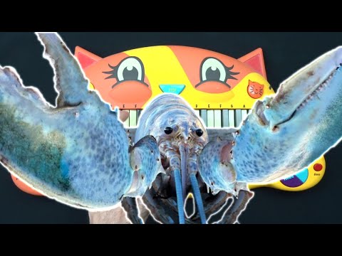 SURPRISE BLUE LOBSTER MEME BUT IT'S ON A CAT PIANO