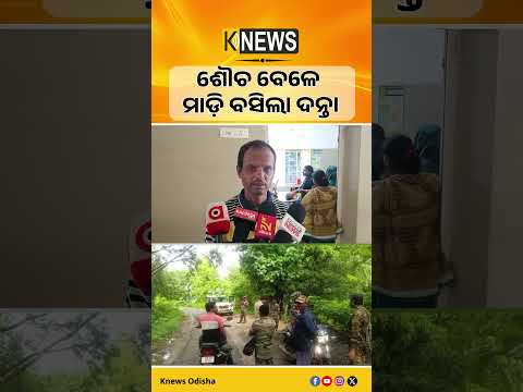 Wild Elephant Chases and Attacks Villagers in Odisha's Anandapur, Four Injured | Knews Odisha