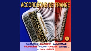 Rêve d'accordéoniste