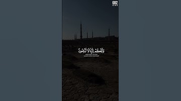 أَفَحَسِبْتُمْ أَنَّمَا خَلَقْنَاكُمْ عَبَثًا | الشيخ ياسر الدوسري | سورة المؤمنون #قرآن #quran
