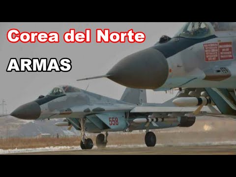 Video: Ejército de Corea del Norte: fuerza y armas