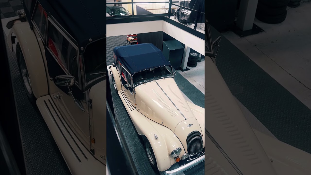 This Morgan stole the show! 