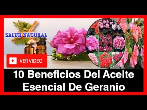 10 Extraordinarios Beneficios Del Aceite Esencial De Geranio
