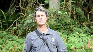 Download Lagu FSC Friday 2020: Jaap van der Waarde - WWF vanuit Congo. MP3 Download Lagu FSC Friday 2020: Jaap van der Waarde - WWF vanuit Congo. MP3