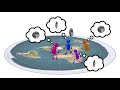 Understanding Flat Earth Theories