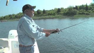 Big Spring Stripers of Narragansett Bay