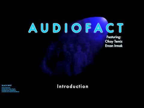 Audiofact - Introduction [ Black Spot © 1998 Kalan Müzik ]