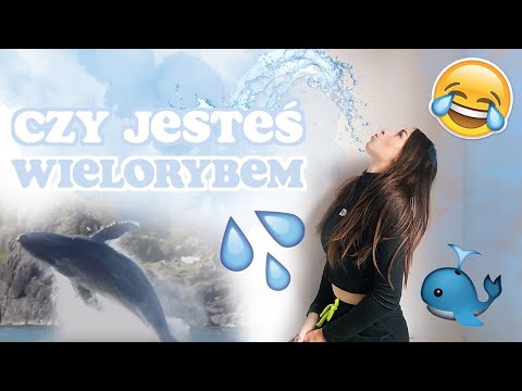 Czy jesteś WIELORYBEM? challenge | Sylwia Lipka