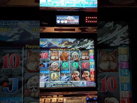 five spins on a reel