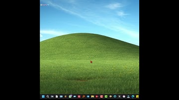 Cómo actualizar los controladores de Windows manualmente
