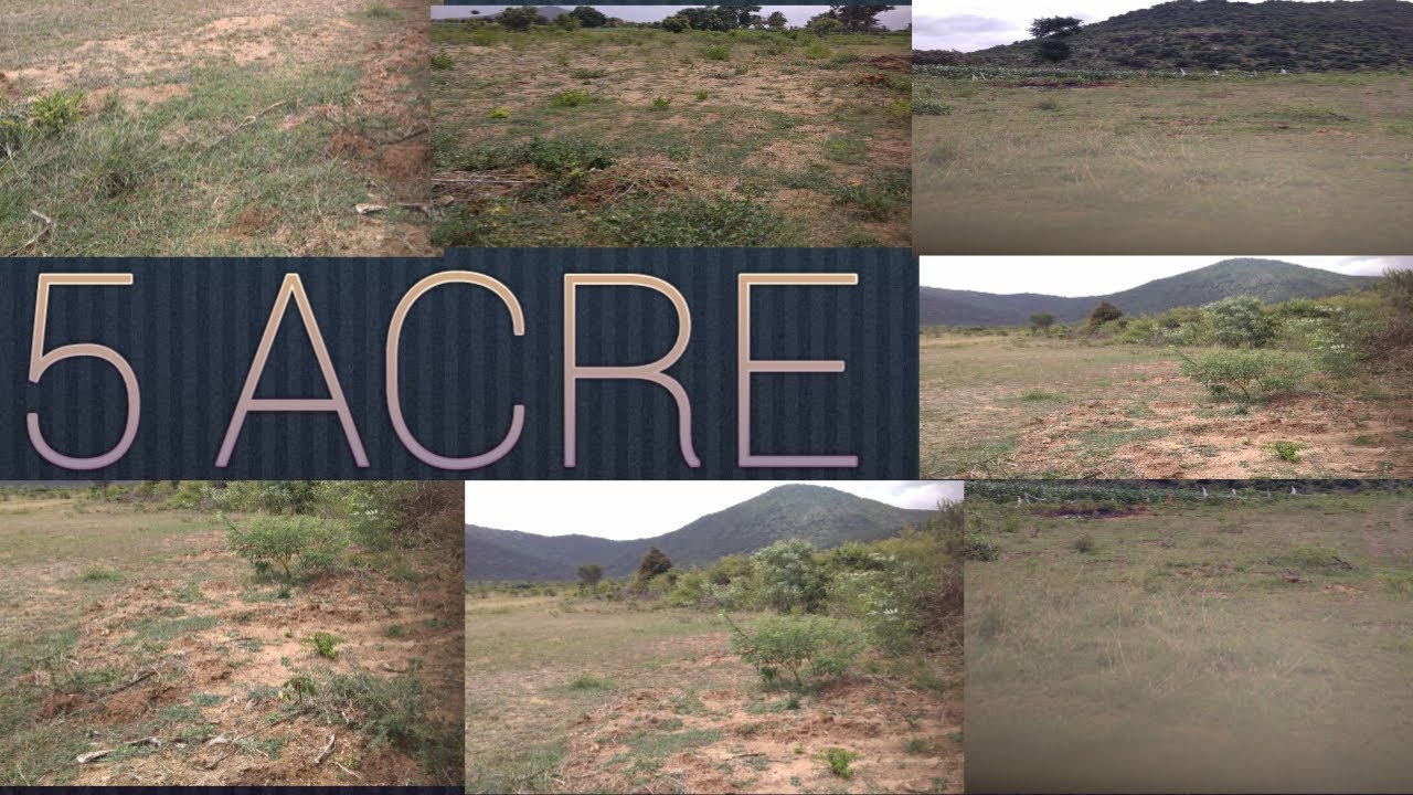 5 Acre Red Soil Agriculture Land Sale Subramanya Subscribe Me Youtube Acre Land For Sale Soil