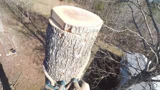 Arborist POV topping a tree and blocking down wood.