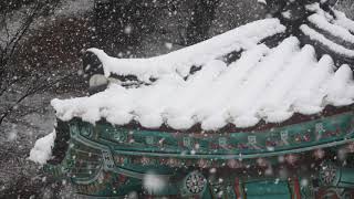 Blizzard Sounds For Sleeping  3 Hours | Snow On Roof For Sleeping, Meditation and Studying