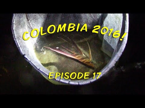 Colombia 2016! - Episode 17