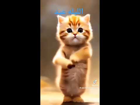 اغنيه الليله عيد