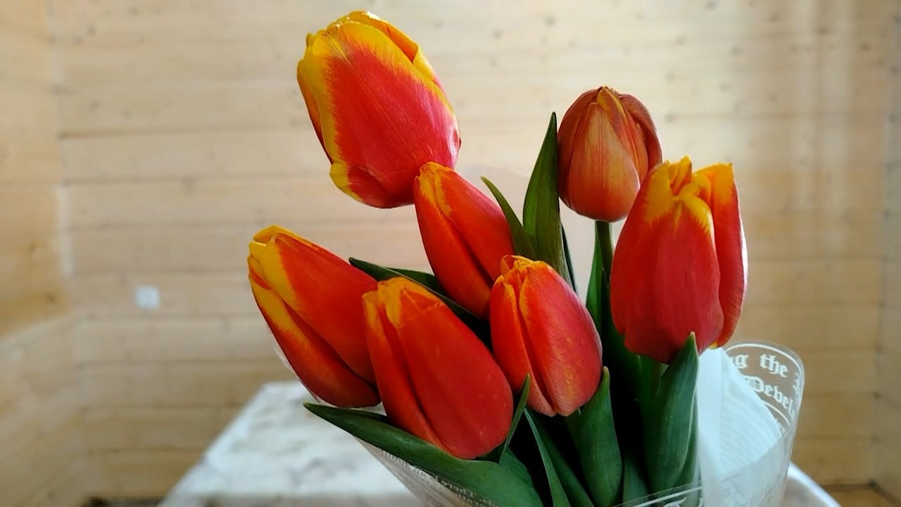 ЖИЗНЬ В ДЕРЕВНЕ   8 МАРТА