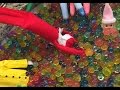 Elf caught diving into an orbeez pool party