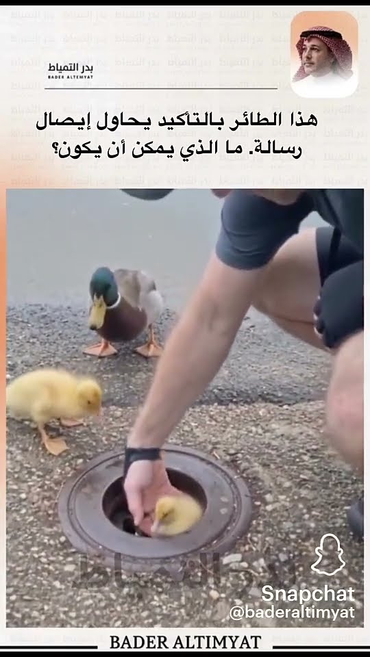 #اضحك_وانسى_همك هذا الطائر بالتأكيد يحاول إيصال رسالة. ما الذي يمكن أن يكون