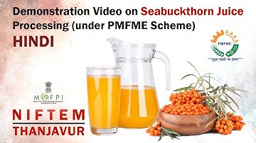 Demonstration Video on Seabuckthorns Juice Processing (under PMFME Scheme) - HINDI