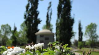 Edmonton Municipal Cemeteries: South Haven