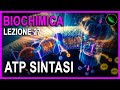 L'ATP SINTASI e La FOSFORILAZIONE OSSIDATIVA -Biochimica Lezione 27