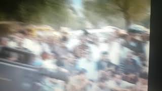 Kizilca Yaka Bölgesinde Güles 1995