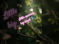 Tiny wings, endless freedom.#shortsfeed #youtubeshorts #viral #shortsvideo #explore#ytshorts.