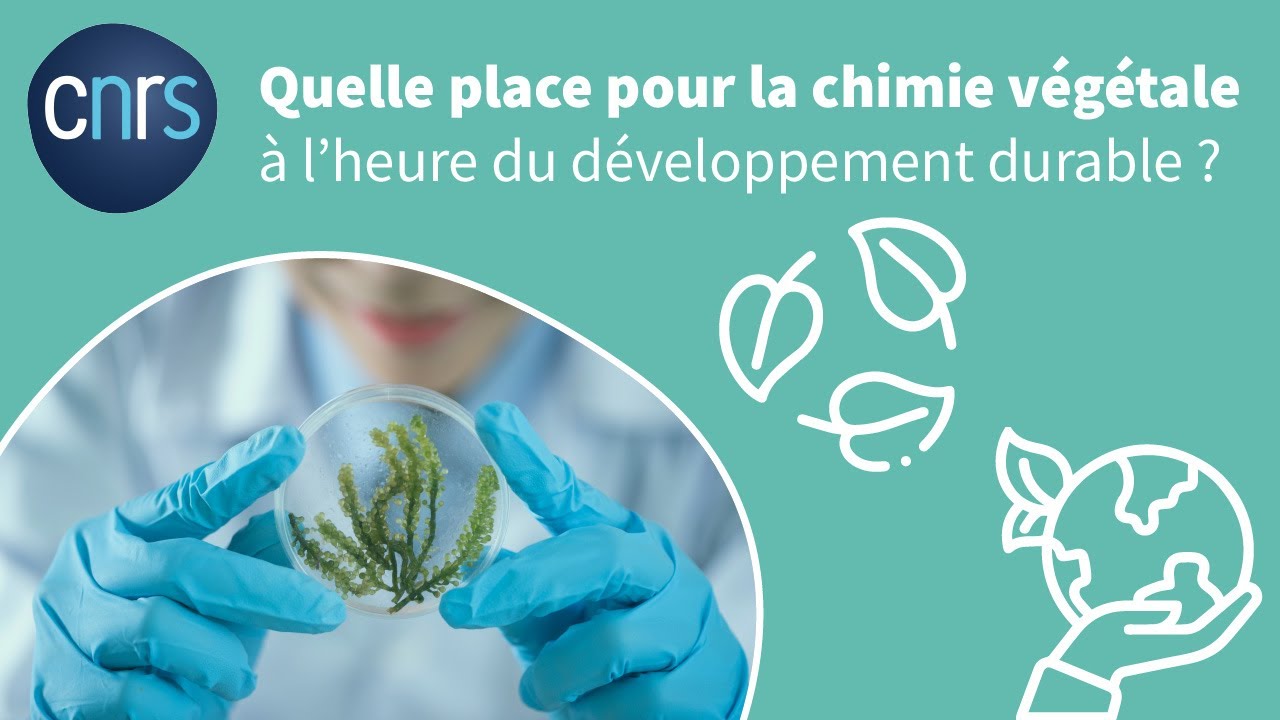 WEBINAIRE Quelle place pour la chimie végétale à l'heure du ...