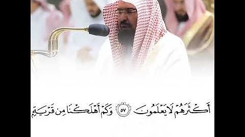 قرآن كريم بصوت القارئ عبد الرحمن السديس تلاوة هادئ ارح قلبك💚🌿حالة واتس اسلامية/ستوريات انستغرام