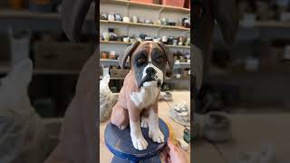Glazing a ceramic dog #dog #sculpture #ceramic_weirdo #art