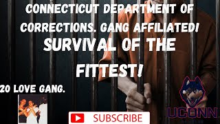 Connecticut Prison. 20 Love Gang. Rape. Jit Camp. Violence. ''You dead whiteboy.'' Thomas Skakell.''