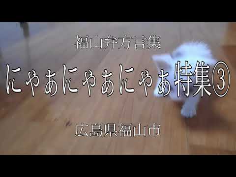 福山弁方言 にゃあにゃあにゃぁ自習用 福の山七福人 広島県福山市 Youtube