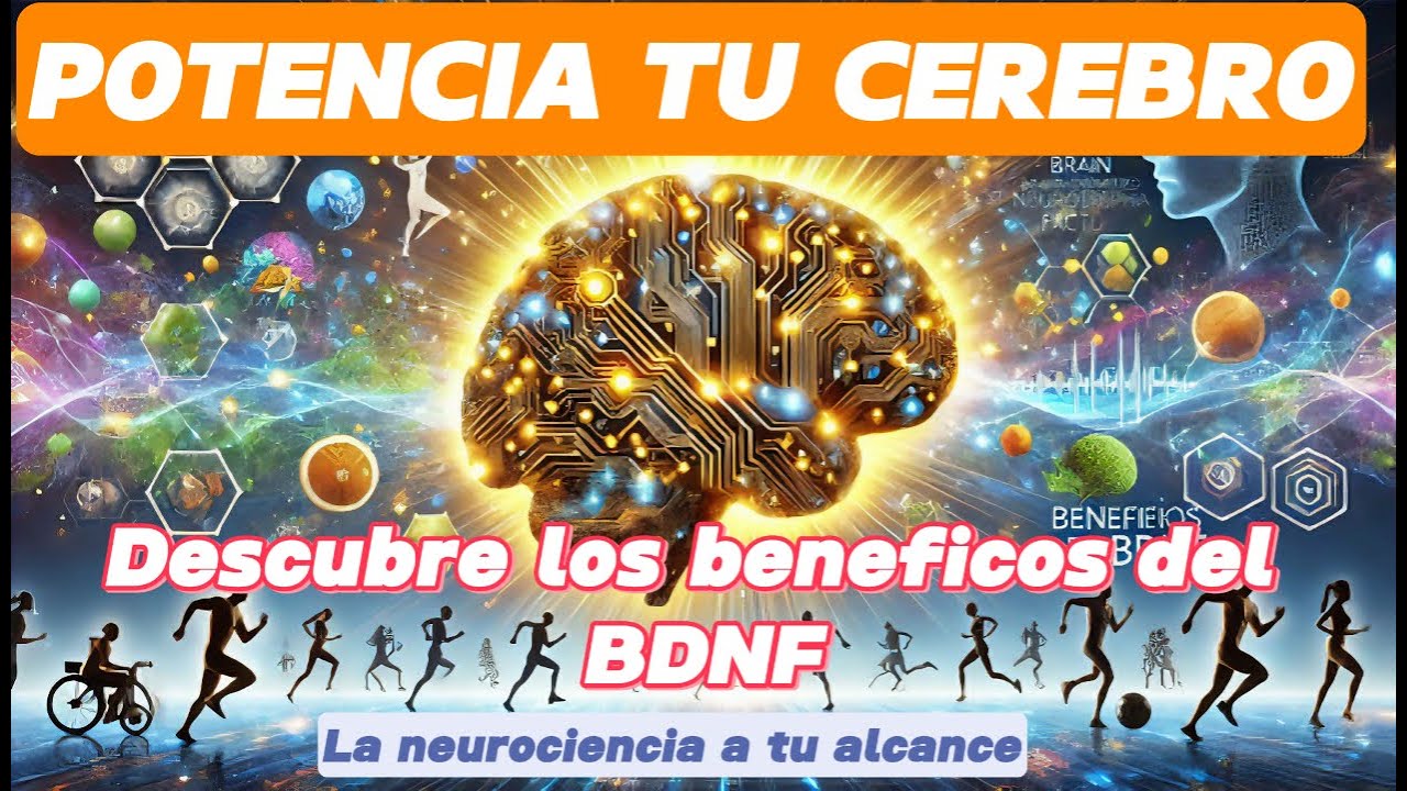 Potencia tu cerebro: Beneficios del BDNF