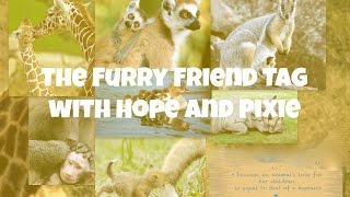 The Furry Friend Tag with Hope and Pixie ~ 3PigsinaPod