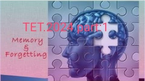 memory & forgetting. #TSTET #Urdu psychology #TSDsc.