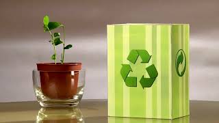Join the Green Revolution with EcoMass: Pioneering Sustainable Living