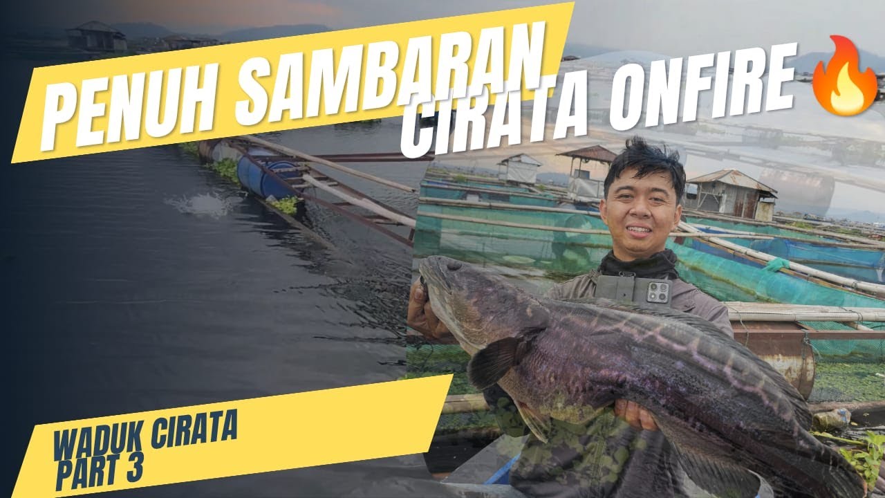 🎣 Casting Toman di Waduk Cirata! Strike Mama Toman—Reel Sampai Menjerit!