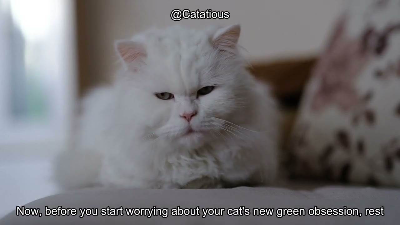 Why Your Cat Is Eating Lettuce: Understanding This Quirky Behavior & What It Means