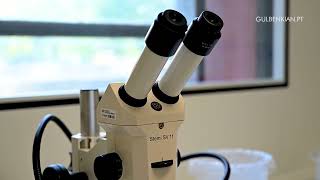 Ep. 5 | Single Cell Hub - Microfabrication