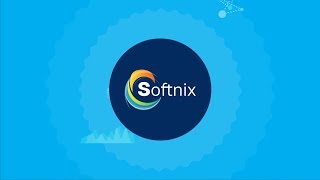 Softnix - Big Data Infographic