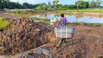 Chuột Mở Chiên Nước Mắm, Bẫy Chuột Mùa Nước Nổi #vợchồngmiềntâytv