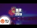 TJ노래방 불꽃 코요태 TJ Karaoke