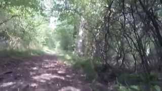 Finemere 02