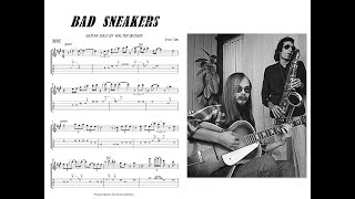 Video thumbnail of "Bad Sneakers guitar solo by Walter Becker #guitarsolo #steelydan #guitartabs"