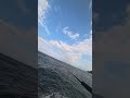Serene Rocky Shores: Fishing Amidst Calm Waves | 静かな海の釣り 🌊🎣